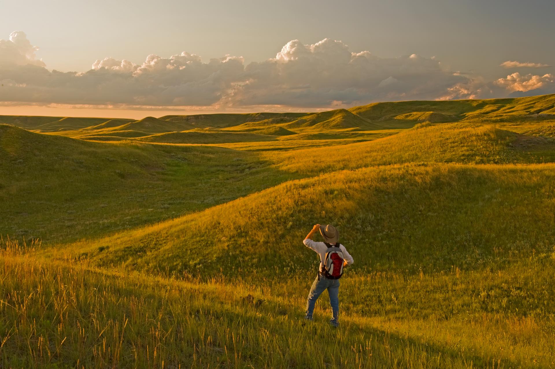 Grasslands in Saskatchewan